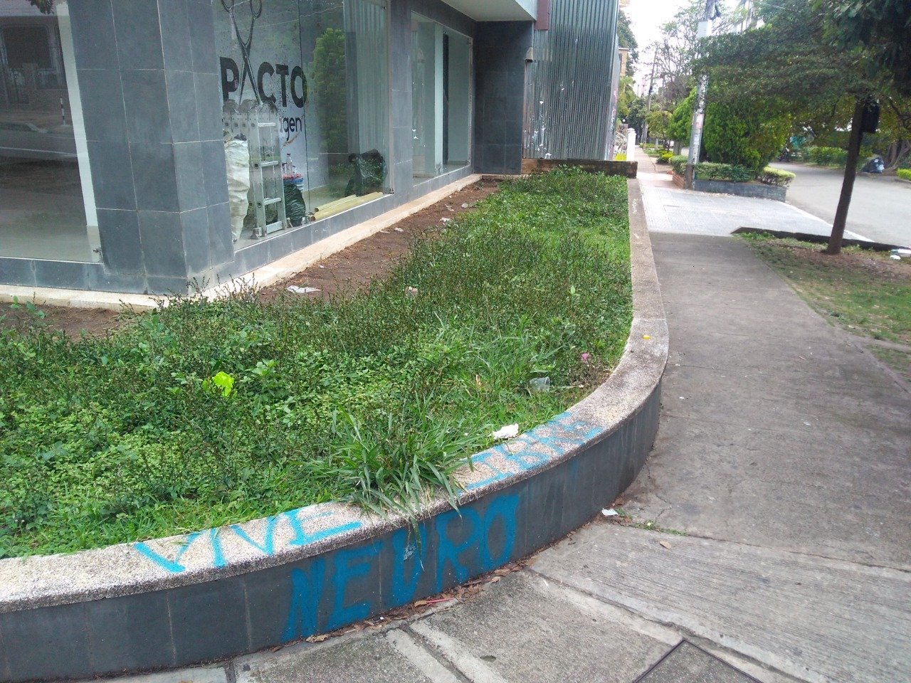 JARDINES 13