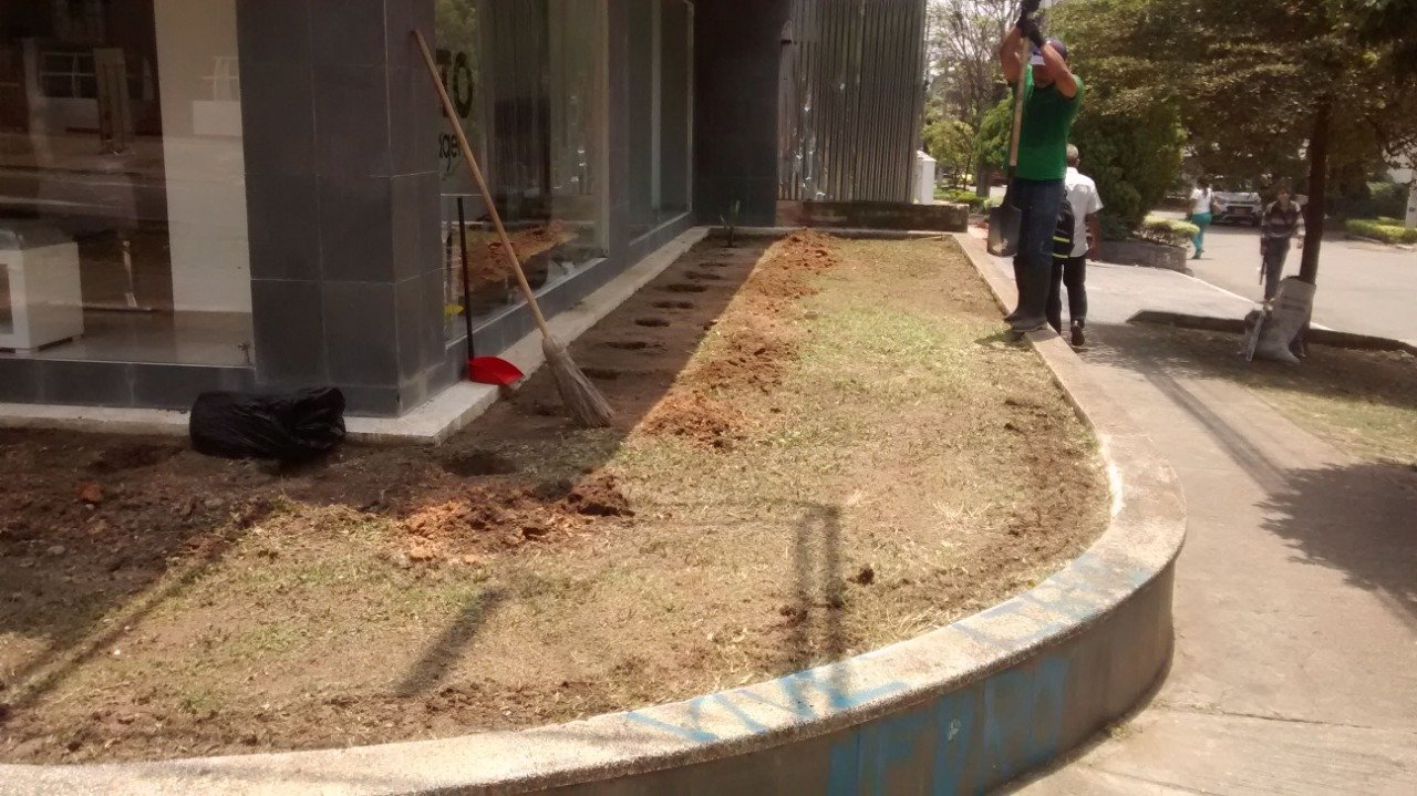 JARDINEZ 12